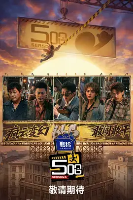 海岛大冒险 综艺 2024
